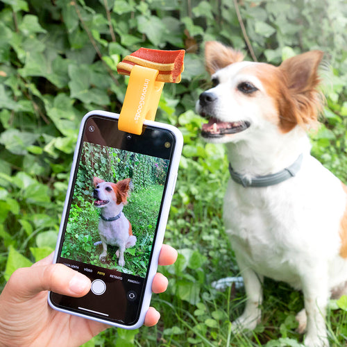 Pince à selfie pour animaux de compagnie Pefie InnovaGoods
