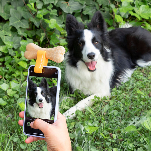 Pince à selfie pour animaux de compagnie Pefie InnovaGoods