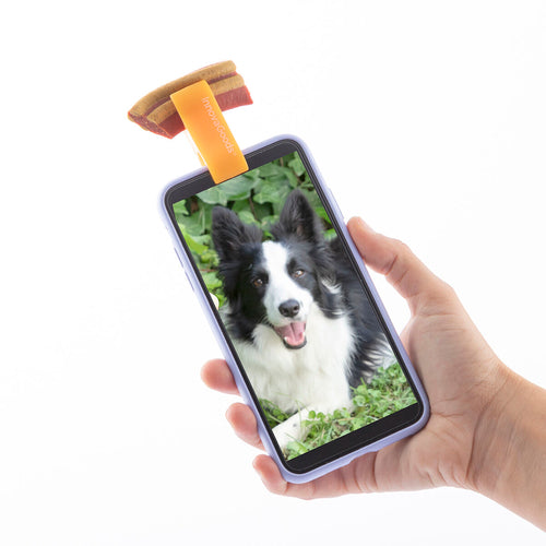 Pince à selfie pour animaux de compagnie Pefie InnovaGoods