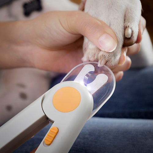 Coupe-ongles pour animaux avec LED Clipet InnovaGoods