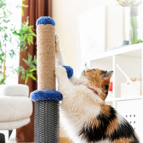 Griffoir et poteau de massage pour chat avec balle Miausage InnovaGoods